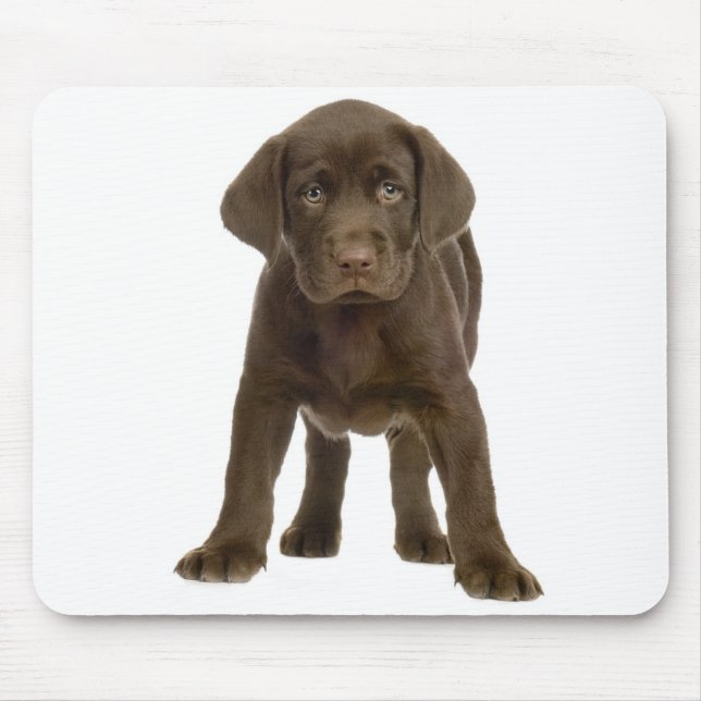 Chocolate Labrador Retriever Puppy Dog Mousepad (Front)