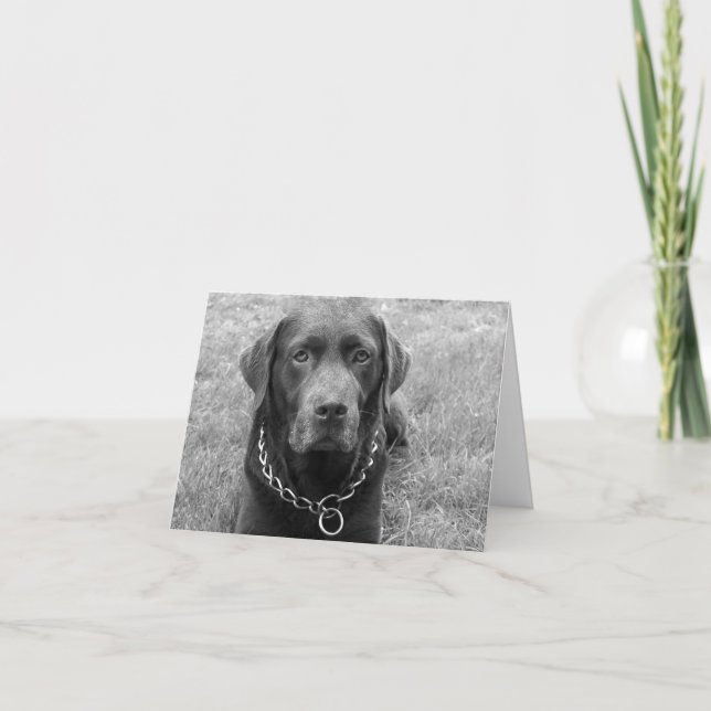 Chocolate Labrador Retriever Puppy Dog Note Card (Front)