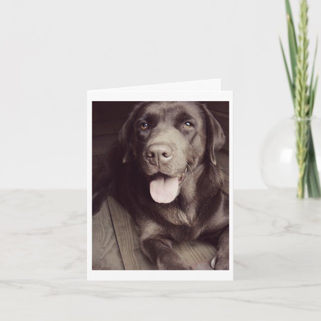 Chocolate Labrador Retriever Puppy Dog Note Card (Front)