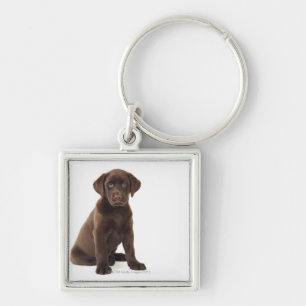 Chocolate Labrador Retriever Puppy Key Ring