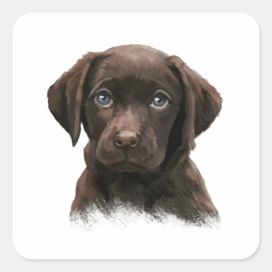 Chocolate Labrador Square Sticker