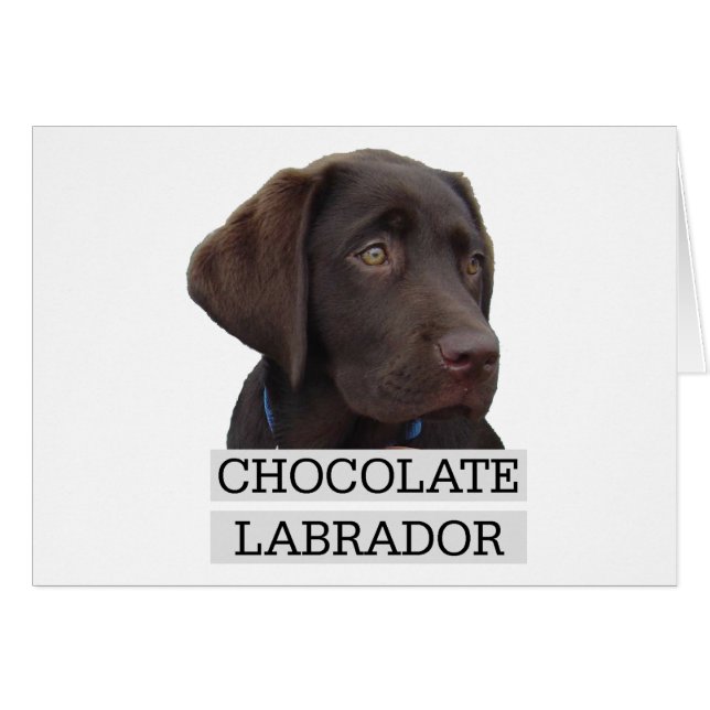 Chocolate Labrador Unique design! (Front Horizontal)