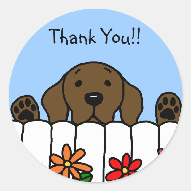 Chocolate Labrador watching you Classic Round Sticker (Front)