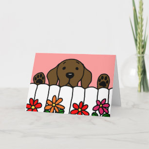 Chocolate Labrador watching you Thank You Card