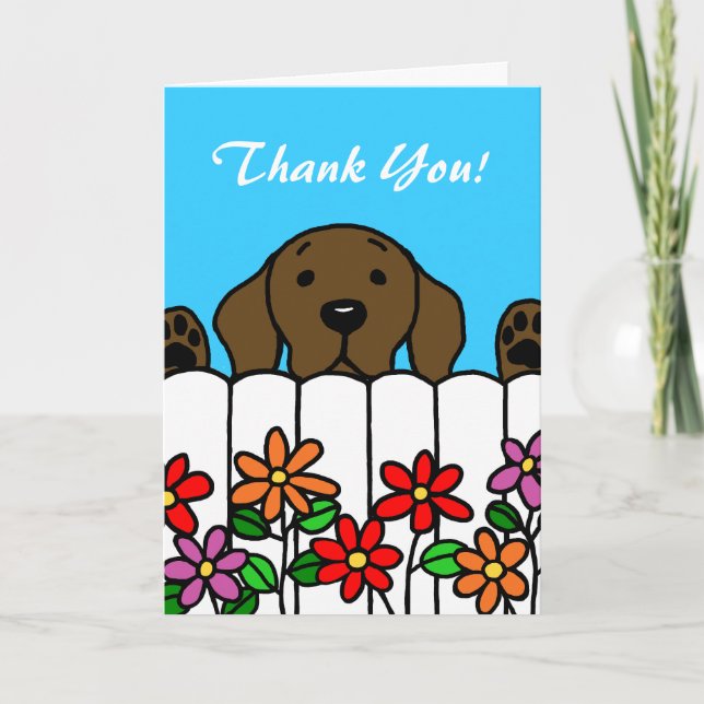 Chocolate Labrador watching you Thank You Card (Front)