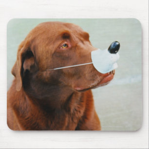 Chocolate Labrador Wearing a Fake Nose Mouse Mat