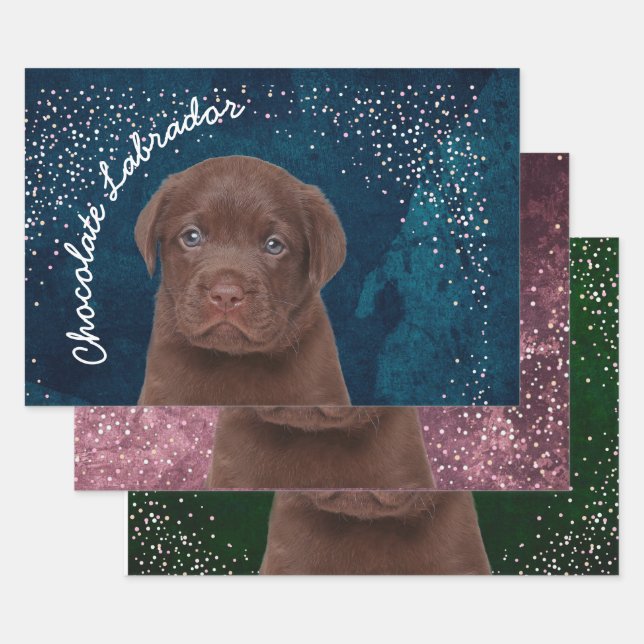 Chocolate Labrador Wrapping Paper Sheet (Set)