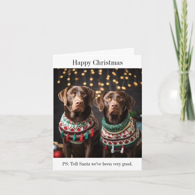 Chocolate Labradors Christmas Card (Front)