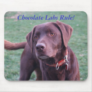 Chocolate Labs Rule! Mouse Mat