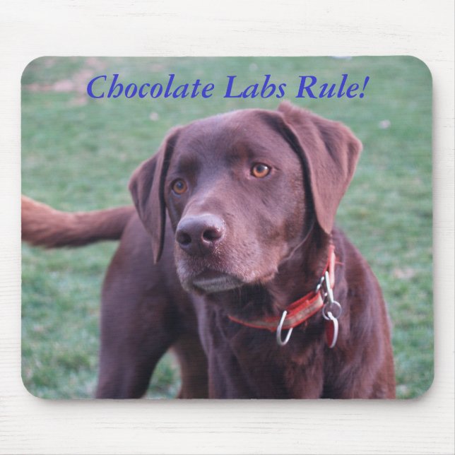 Chocolate Labs Rule! Mouse Mat (Front)