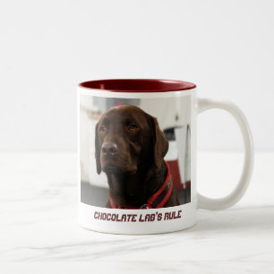 Chocolate Lab's Rule Two-Tone Coffee Mug