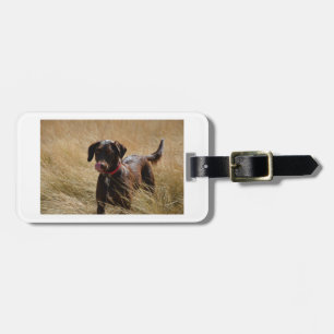 chocolate licking full labrador-retriever luggage tag