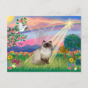 Chocolate Point Himalayan Cat -  Cloud Angel Postcard
