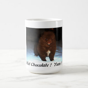 Chocolate pomeranian puppy on mug