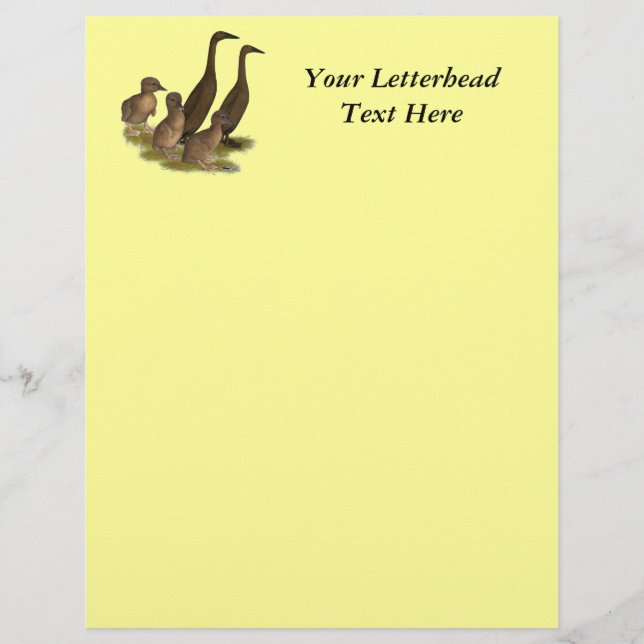 Chocolate Runner Duck Family (Front)