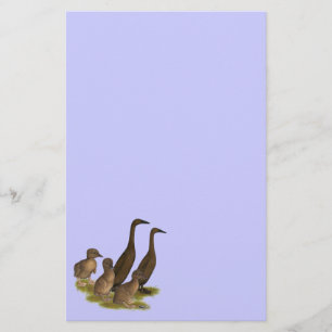 Chocolate Runner Duck Family Stationery