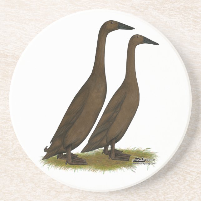 Chocolate Runner Ducks Coaster (Front)