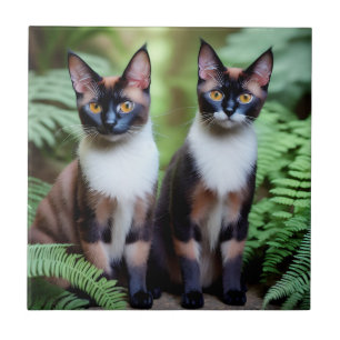 Chocolate Siamese Cat Twins, Ceramic Tile