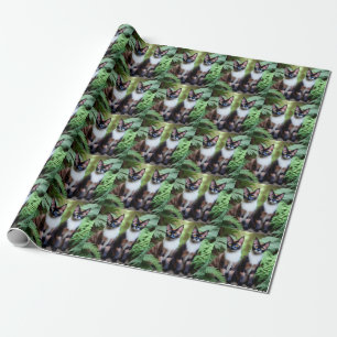 Chocolate Siamese Cat Twins, Wrapping Paper