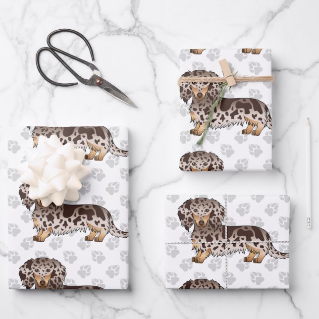 Chocolate & Tan Dapple Long Hair Dachshund & Paws Wrapping Paper Sheet (Front)