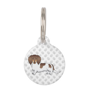 Chocolate & Tan Piebald Long Hair Dachshund & Paws Pet Tag