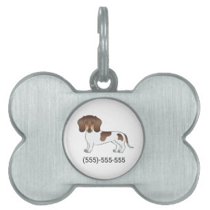 Chocolate & Tan Pied Short Hair Dachshund & Number Pet ID Tag