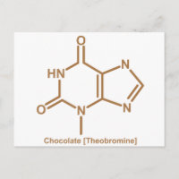 Chocolate theobromine