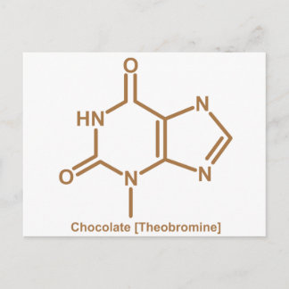 Chocolate theobromine postcard
