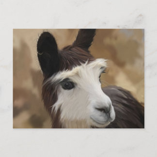 Chocolate & white Alpaca Postcard