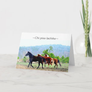 Choctaw Greeting Cards (Chi pisa lachike)