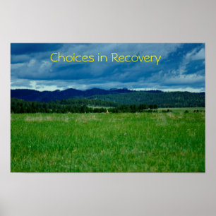 Choices in Recovery  poster/Motivational III Poster