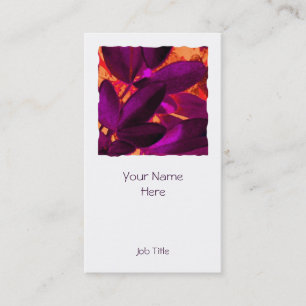 Choisya Autumn 3 square white portrait Business Card