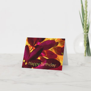 Choisya Autumn 'Happy Birthday' note card