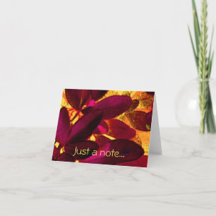 Choisya Autumn 'Just a note' note card