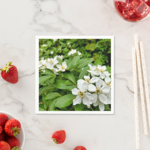 Choisya Ternata Paper Napkins