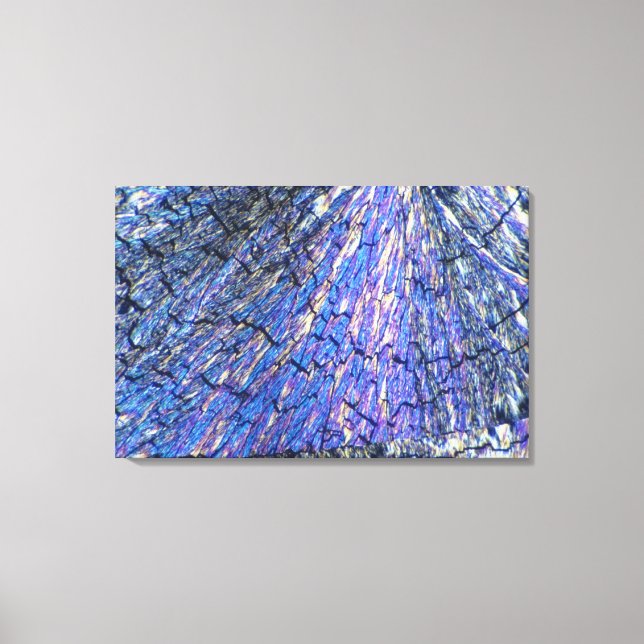 Cholesterol Crystals Viewed in Polarised Light 2 Canvas Print (Front)