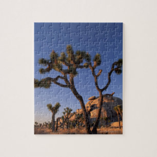 Cholla cactus and Cap Rock , Joshua Tree Jigsaw Puzzle