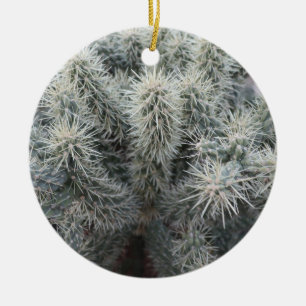 Cholla Cactus in Arizona Ceramic Tree Decoration