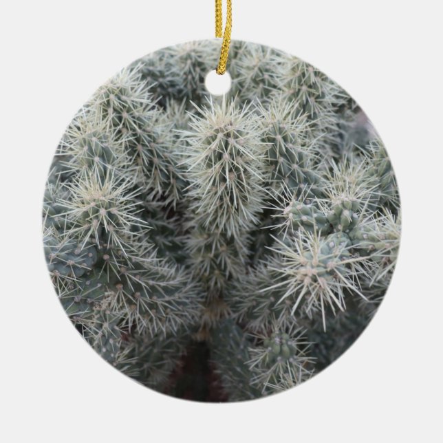 Cholla Cactus in Arizona Ceramic Tree Decoration (Front)