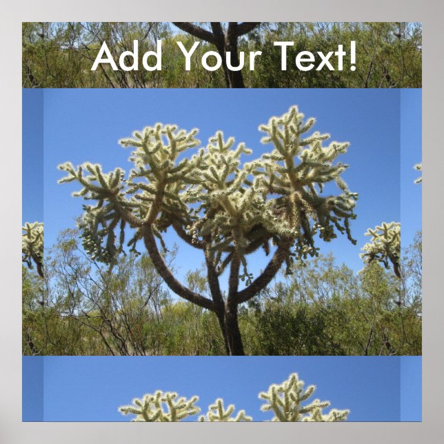 Cholla Cactus Poster (Front)