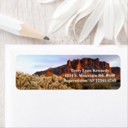 Cholla Cactus Superstition Mountain Arizona