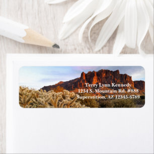 Cholla Cactus Superstition Mountain Arizona