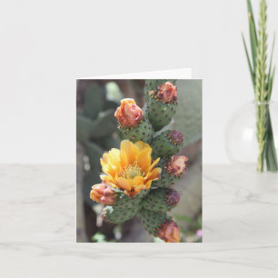 Cholla flower card