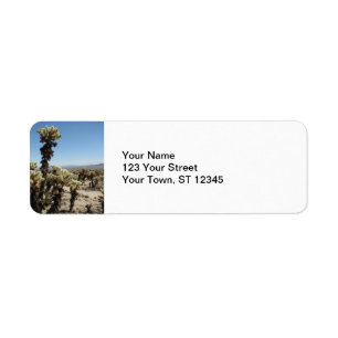 Cholla Garden -Joshua Tree