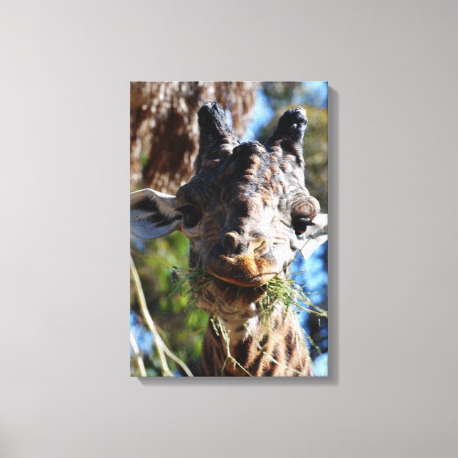 Chompin! Stretched Canvas Print (Front)
