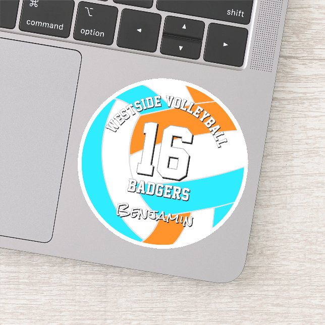 choose ANY team colors athlete name volleyball (Detail)