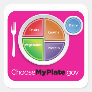 Choose MyPlate Sticker - Magenta