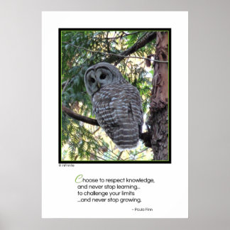 Choose to respect knowledge...motivational poster