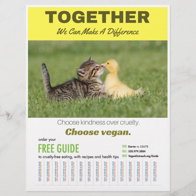 Choose Vegan Poster Flyer (Front)