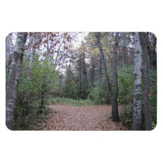 Choose your path. magnet